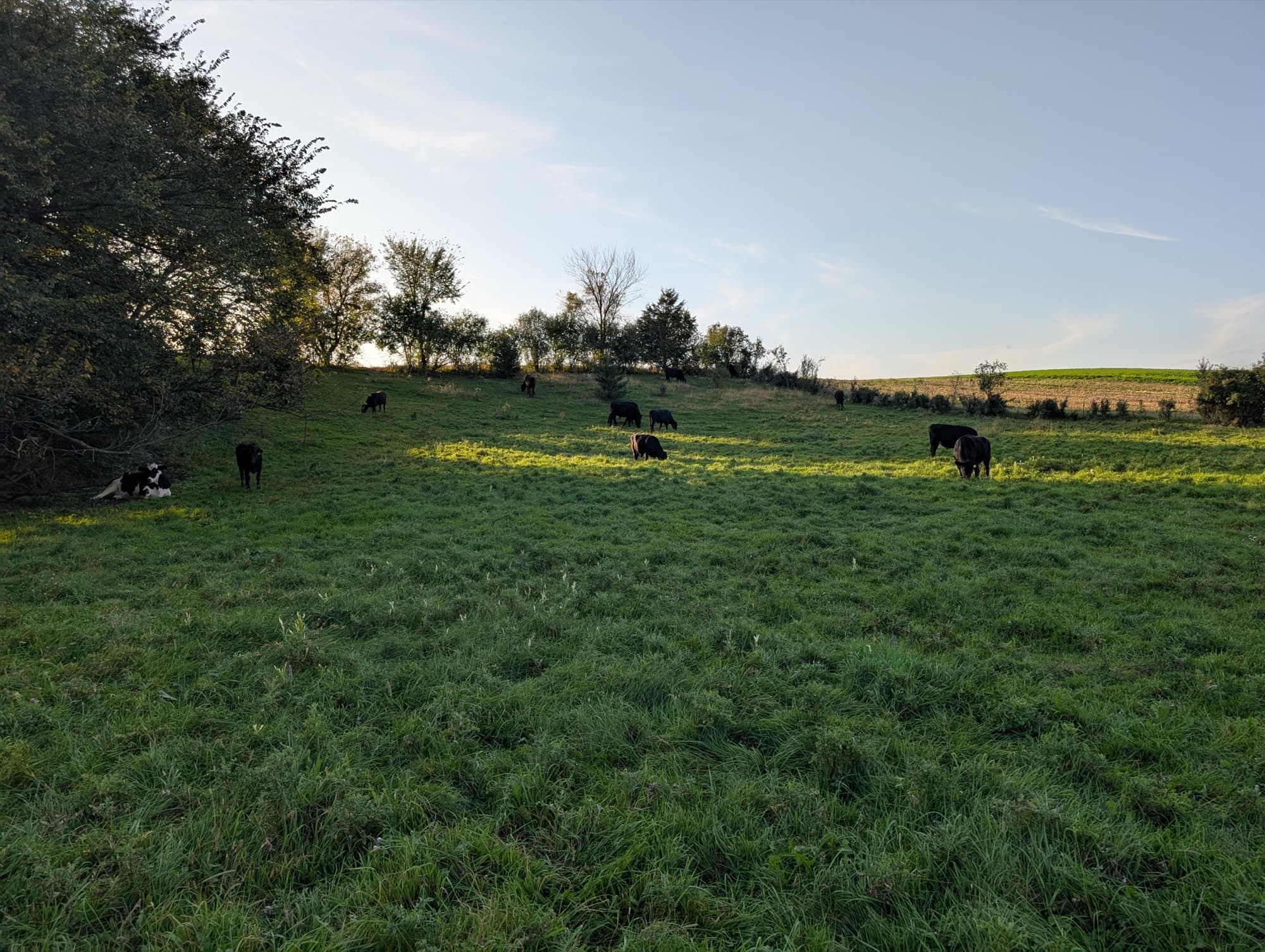 Modern Regenerative Farm - 2020s